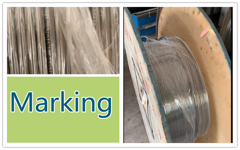stainless steel coiled tube (2)