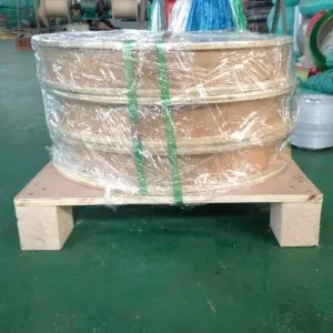 Alloy 825 stainless Steel coiled tube